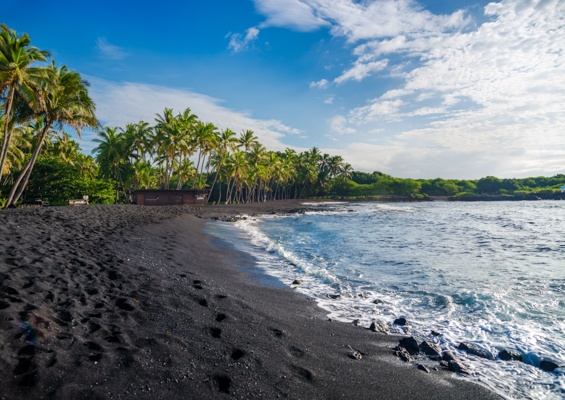  Punaluu Black Sand Beach