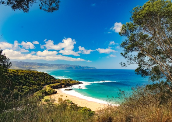 Waimea Bay North Shore Oahu
