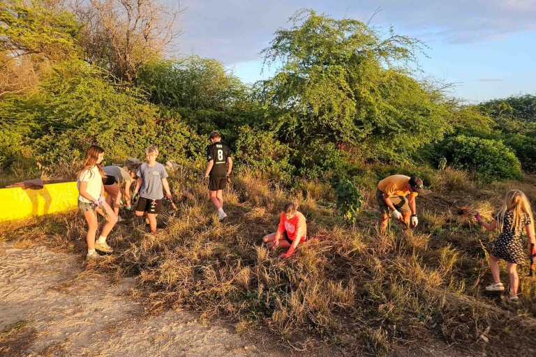 Cleanups Restore And Protect The Beautiful Kalaeloa Shoreline Feature Family Friendly Team
