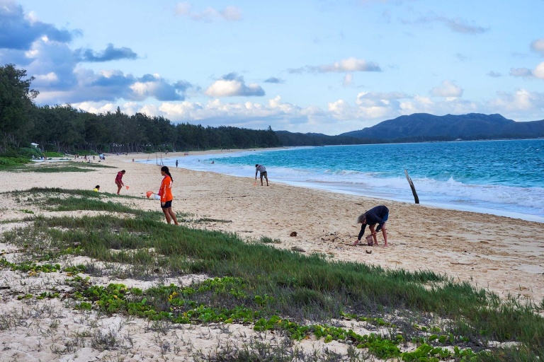 Cleanups Restore And Protect The Beautiful Kalaeloa Shoreline Feature Litter Cleanup Beach View