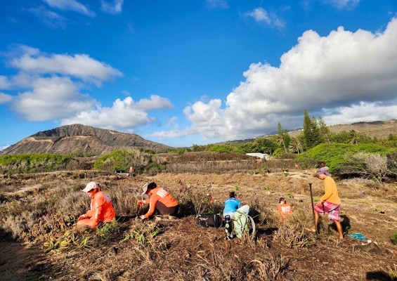 Cleanups Restore And Protect The Beautiful Kalaeloa Shoreline Slide Clean