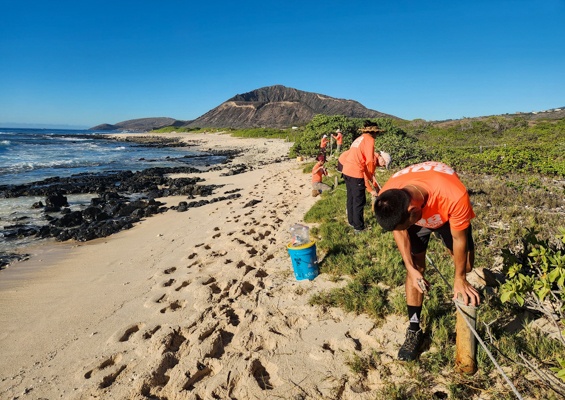 Cleanups Restore And Protect The Beautiful Kalaeloa Shoreline Slide Team Clean