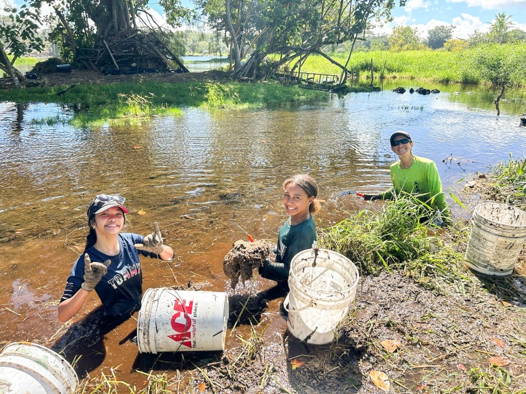 Ainahoolainitiative Presever Hilo Wetlands At Aina Hoola Feature Restore Vital Wetland Ecosystems