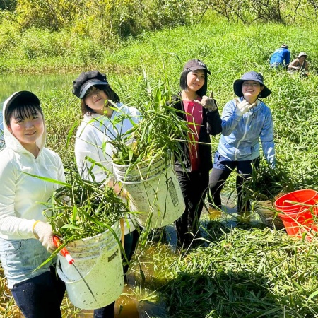 Ainahoolainitiative Presever Hilo Wetlands At Aina Hoola Product