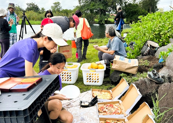 Ainahoolaintiative Preserve Hilo Wetlands At Aina Hoola Slider Light Lunch Break Time