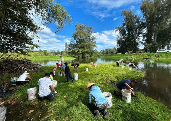 Ainahoolaintiative Preserve Hilo Wetlands At Aina Hoola Slider Take Photo Group