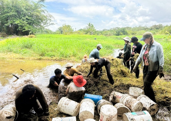 Ainahoolaintiative Preserve Hilo Wetlands At Aina Hoola Slider Teamwork Clean Up