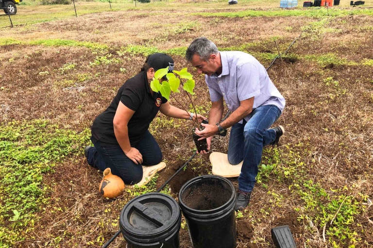 Hawaiianlegacyreforestationintiative Plant A Legacy Tree On Hawaii Island Feature Guided Legacy Tours