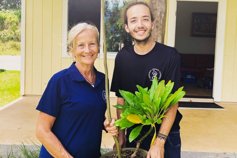 Hawaiianlegacyreforestationintiative Plant A Legacy Tree On Hawaii Island Feature Guided Legacy Tours Amazing Experience