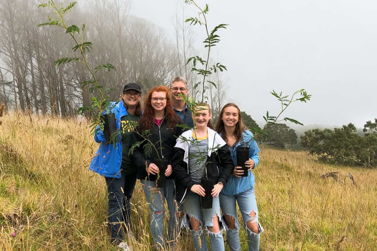 Hawaiianlegacyreforestationintiative Plant A Legacy Tree On Hawaii Island Feature Guided Legacy Tours Friend