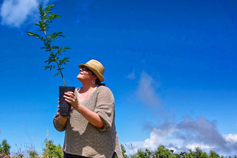 Hawaiianlegacyreforestationintiative Plant A Legacy Tree On Hawaii Island Feature Plant A Native Girl Take Photo