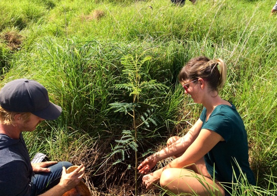 Hawaiianlegacyreforestationintiative Plant A Legacy Tree On Hawaii Island Slider Couple