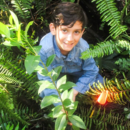 Hawaiienviromentalrestoration Restore Hawaii Coastal And Forest Ecosystems Book Now