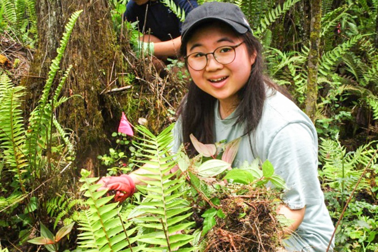 Hawaiienviromentalrestoration Restore Hawaii Coastal And Forest Ecosystems Feature Full Or Half Day Options