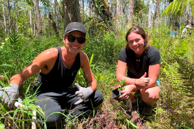Hawaiienviromentalrestoration Restore Hawaii Coastal And Forest Ecosystems Feature Hands On Learning
