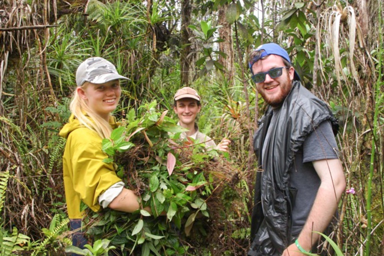 Hawaiienviromentalrestoration Restore Hawaii Coastal And Forest Ecosystems Feature Preserve Native Ecosystems