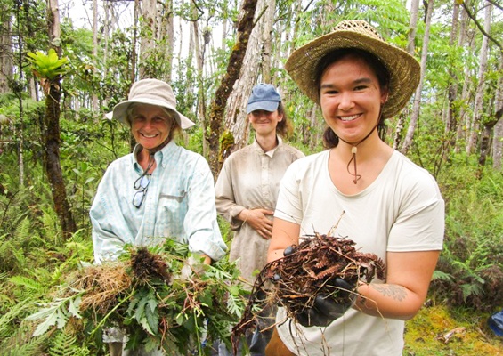 Hawaiienviromentalrestoration Restore Hawaii Coastal And Forest Ecosystems Slider Family