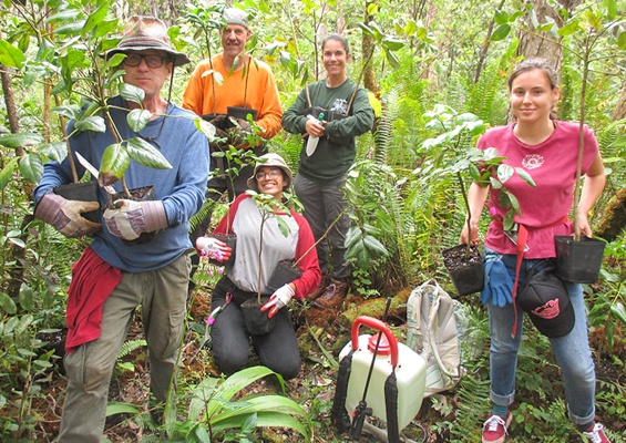 Hawaiienviromentalrestoration Restore Hawaii Coastal And Forest Ecosystems Slider Group