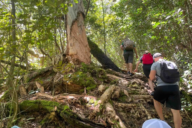 Hikemaui Waterfall And Paia Town Hiking Tour Feature Explore Lush