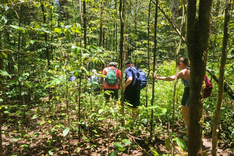 Hikemaui Waterfall And Paia Town Hiking Tour Feature Go Throught Forest