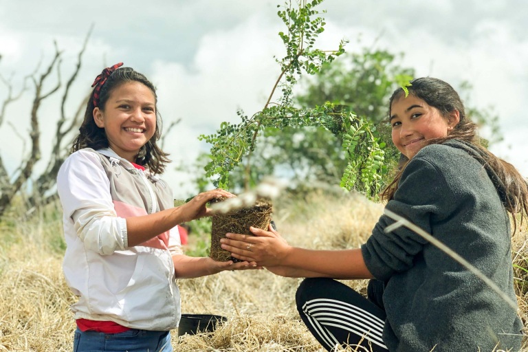 Kanuhawaii Volunteer At Konu Beach Cleanup On Maui Feature Protect The Invasive Species