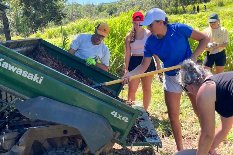 Malamahamakuamaui Kokua Days On The North Shore Feature Co Work With Friendly Volunteers