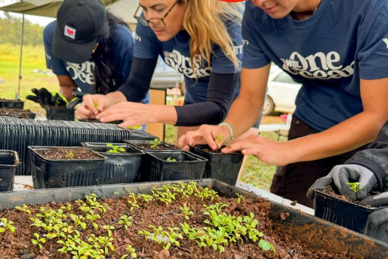 Malamahamakuamaui Kokua Days On The North Shore Feature Restore Native Plant