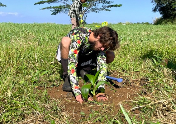Malamahamakuamaui Kokua Days On The North Shore Slide Plant For Future Generations