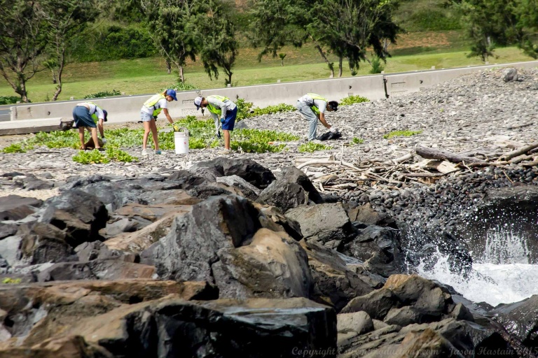 Malamamauinui Community Workday Events Feature Collecting Trash