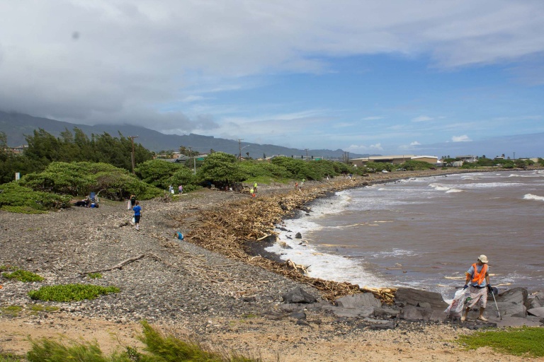 Malamamauinui Community Workday Events Feature Improve Habitat