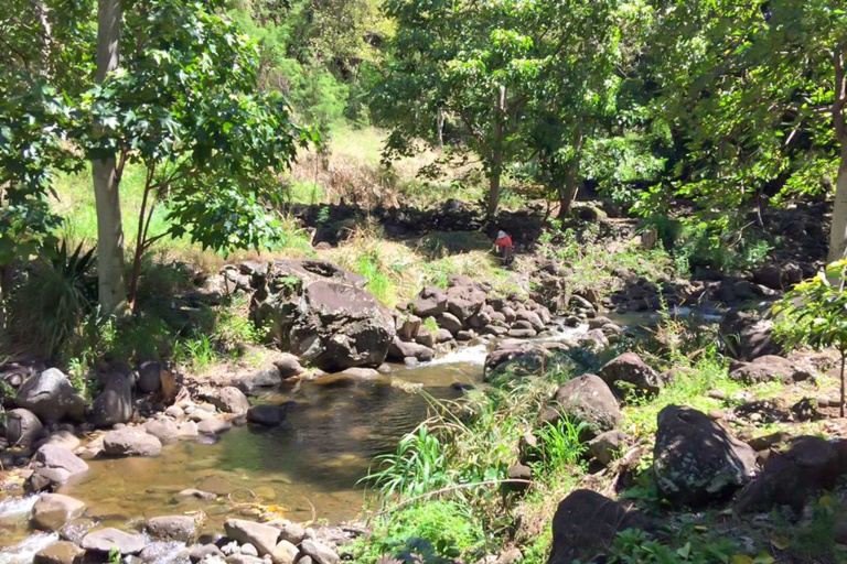 mauiculturallands-honokowai-valley-and-launiopoko-land-maintenance-days-feature-an-natural-land Mauiculturallands Honokowai Valley And Launiopoko Land Maintenance Days Feature An Natural Land