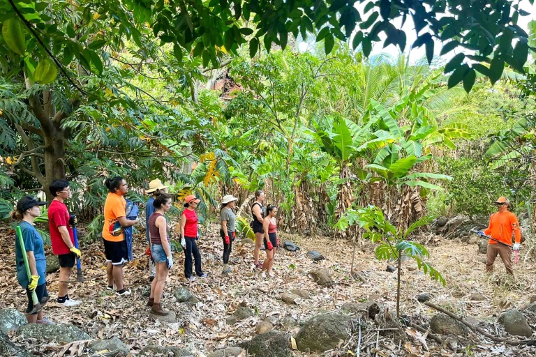 mauiculturallands-honokowai-valley-and-launiopoko-land-maintenance-days-feature-hand-on-activities Mauiculturallands Honokowai Valley And Launiopoko Land Maintenance Days Feature Hand On Activities