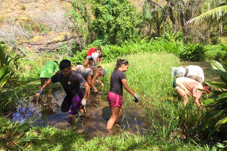 mauiculturallands-honokowai-valley-and-launiopoko-land-maintenance-days-feature-welcome-for-group Mauiculturallands Honokowai Valley And Launiopoko Land Maintenance Days Feature Welcome For Group