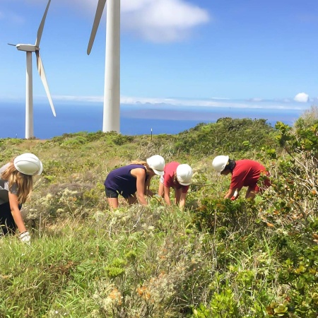 Mauiculturallands Honokowai Valley And Launiopoko Land Maintenance Days Product