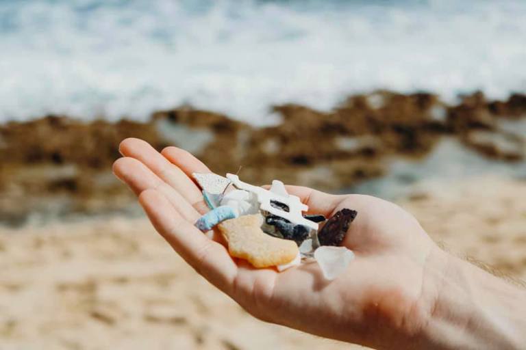 Oahu Surfrider Join Surfrider Oahu To Protect And Clean Oahu Coastlines Feature Remove Plastic Waste Hand