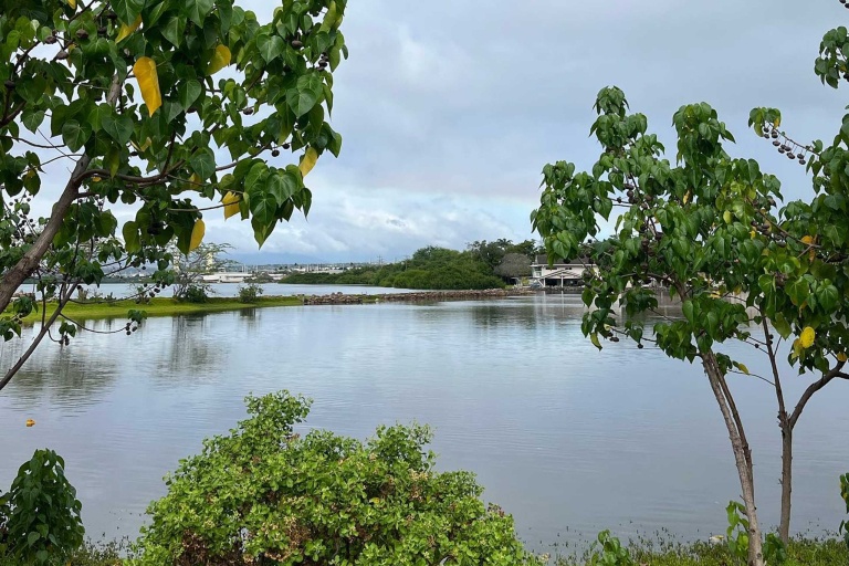 Paaiau Org Restore And Experience Loko Ia Paaiau Feature Healing And Peace View
