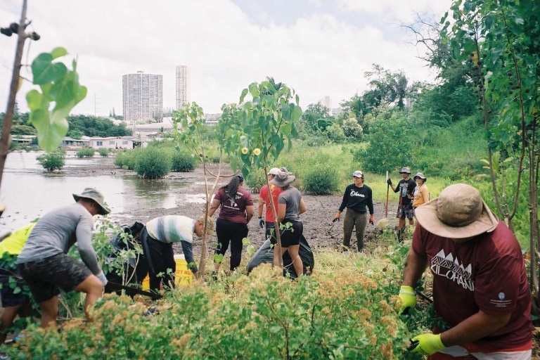 Paaiau Org Restore And Experience Loko Ia Paaiau Feature Restoration Work Group