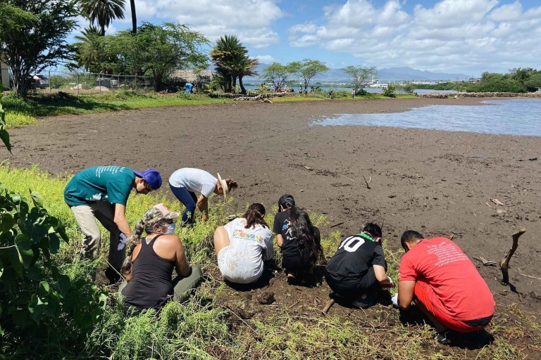 Paaiau Org Restore And Experience Loko Ia Paaiau Feature Restoration Work Team Work