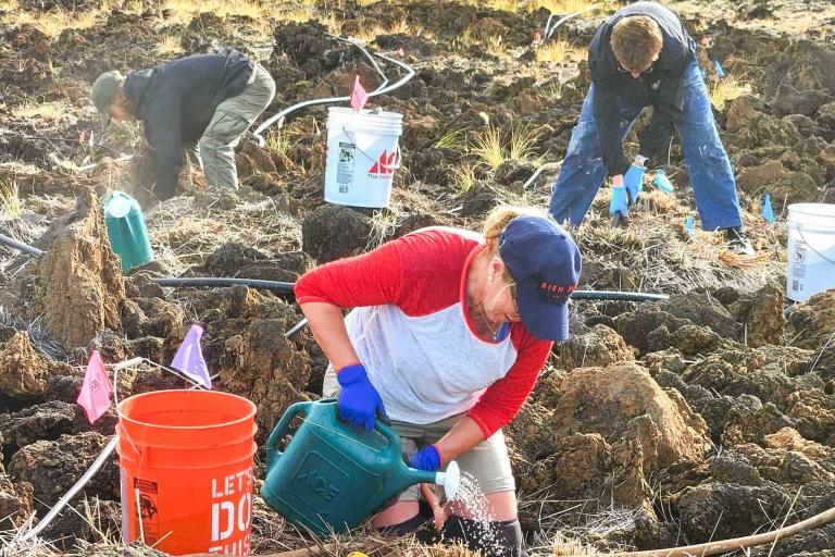 Waikoloadryforest Restore The Unique Ecosystem Of Waikoloa Dry Forest Feature Community And Education