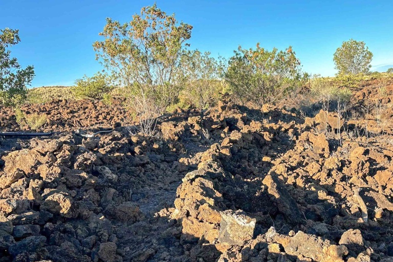 Waikoloadryforest Restore The Unique Ecosystem Of Waikoloa Dry Forest Feature Community And Education Experience