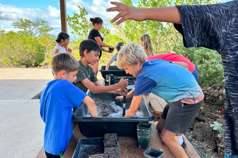 Waikoloadryforest Restore The Unique Ecosystem Of Waikoloa Dry Forest Feature Family Friendly Kids