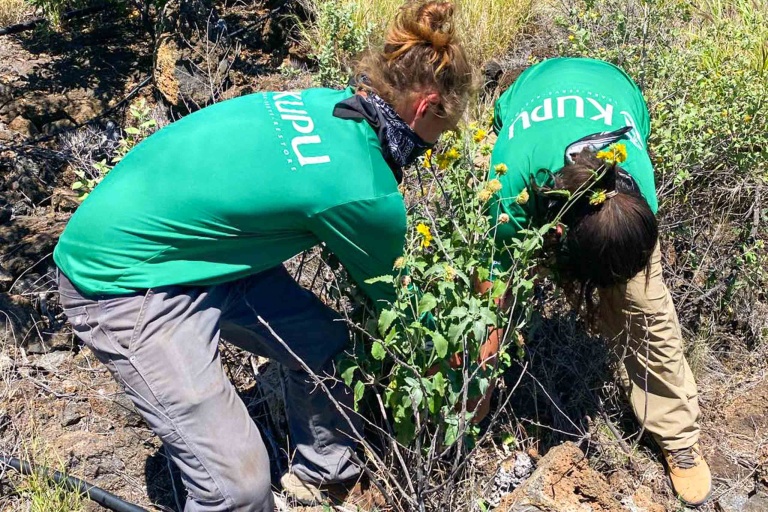 Waikoloadryforest Restore The Unique Ecosystem Of Waikoloa Dry Forest Feature Protect A Rare Ecosystem
