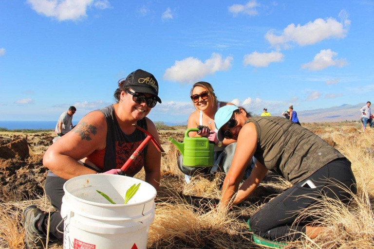 Waikoloadryforest Restore The Unique Ecosystem Of Waikoloa Dry Forest Feature Protect A Rare Ecosystem M