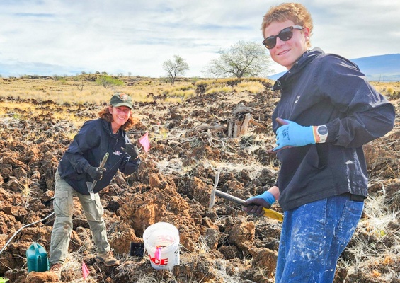 Waikoloadryforest Restore The Unique Ecosystem Of Waikoloa Dry Forest Slider Planting