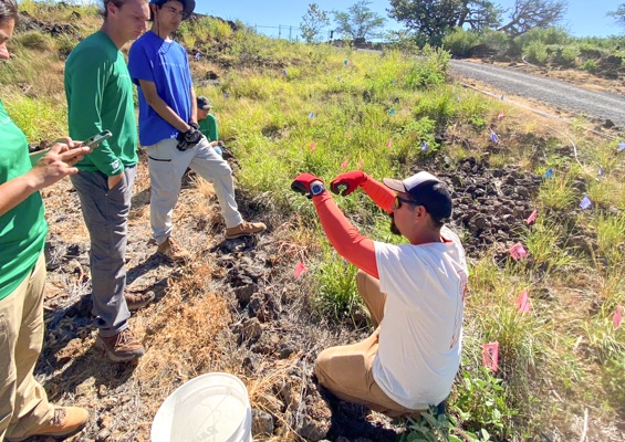 Waikoloadryforest Restore The Unique Ecosystem Of Waikoloa Dry Forest Slider Take Care Of The Land