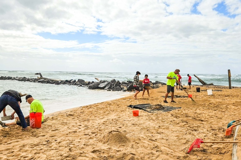 Friendsofkamalaniandlydgatepark Kauai Weekly Beach Cleanup Feature Contribute