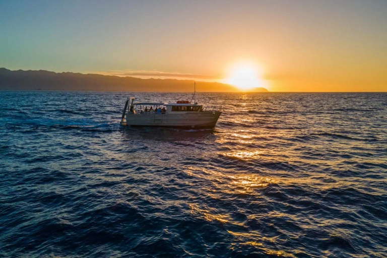 haleiwasharktours-sunset-whale-watching-on-oahu-north-shore-feature-beautiful-views-of-the-famous-north-shore-sunset Haleiwasharktours Sunset Whale Watching On Oahu North Shore Feature Beautiful Views Of The Famous North Shore Sunset