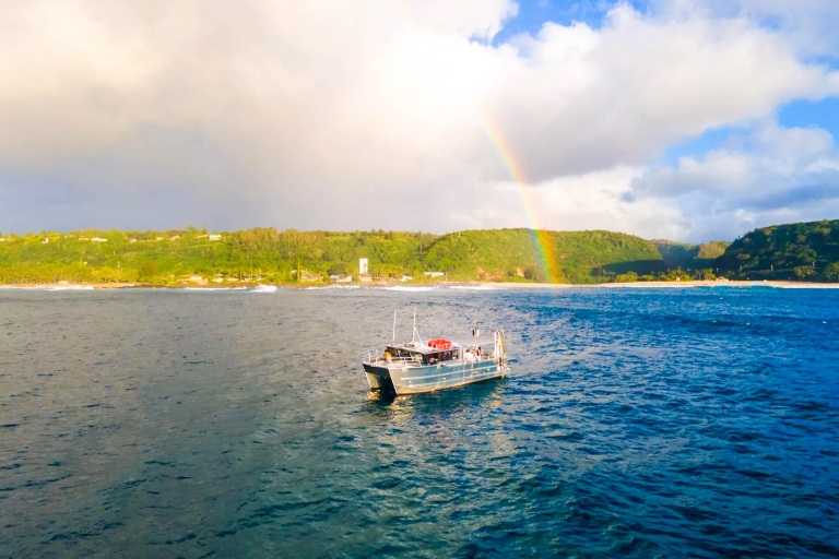 haleiwasharktours-sunset-whale-watching-on-oahu-north-shore-feature-hawaiian-owned-and-operated Haleiwasharktours Sunset Whale Watching On Oahu North Shore Feature Hawaiian Owned And Operated