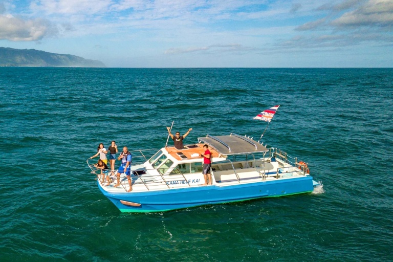 haleiwasharktours-sunset-whale-watching-on-oahu-north-shore-feature-hawaiian-owned-and-operated-talking-story Haleiwasharktours Sunset Whale Watching On Oahu North Shore Feature Hawaiian Owned And Operated Talking Story