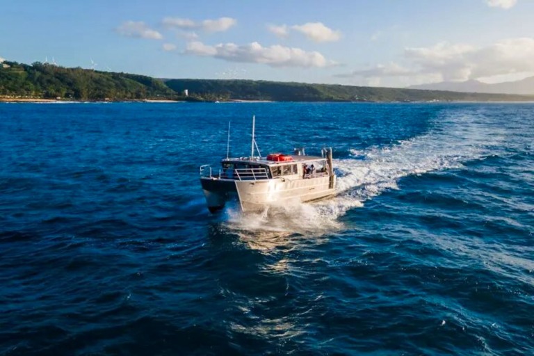 haleiwasharktours-sunset-whale-watching-on-oahu-north-shore-feature-incredible-wildlife-cruise Haleiwasharktours Sunset Whale Watching On Oahu North Shore Feature Incredible Wildlife Cruise